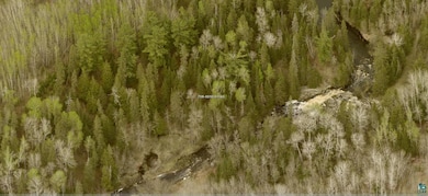 View of nature with a wooded view