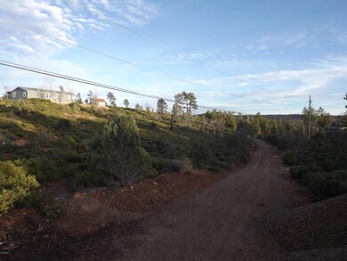 809 Wilderness Trail unit 131, Show Low, AZ 85901 - photo 6