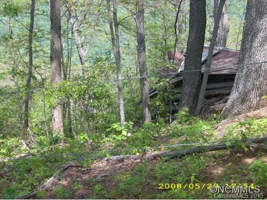 abandoned primitive cabin