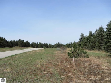 1 Spruce Hollow Trace, Fife Lake, MI 49633 - photo 4