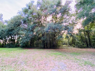 6343 280th St, Branford, FL 32008 - photo 5