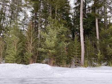 0 Forest View Dr unit 6 4899657, Effingham, NH 03882 - photo 4