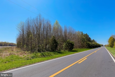 0 E Trap Pond Rd unit DESU2083648, Georgetown, DE 19947 - photo 3