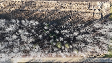 Parcel A Parameter Rd, Deer River, MN 56636 - photo 7