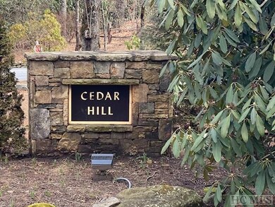 Lot 20 E Ridge Rd, Cashiers, NC 28717 - photo 7