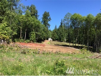 25411 Ebey Mountain Rd, Arlington, WA 98223 - photo 2