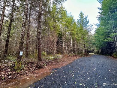 15 W Ford Rd unit Lot 3, Matlock, WA 98560 - photo 5