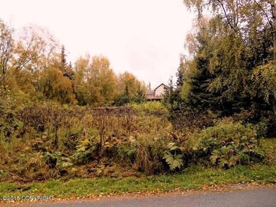 Forest Drive 2