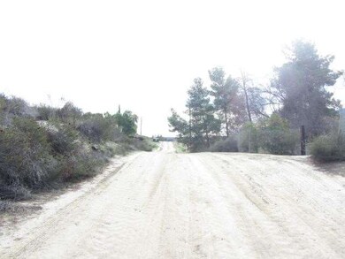 White Mountain Road 