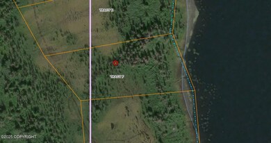 Tr F Iris Lake Asls 76-210, Remote, AK 99000 - photo 4