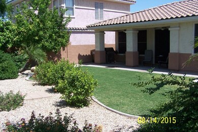 Backyard-6