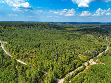 Cedar Grove Rd unit LotWP003, Salem, KY 42078 - photo 2