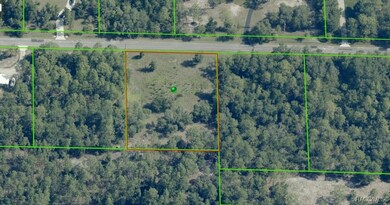 10278 W Belfast St, Crystal River, FL 34428 - photo 7