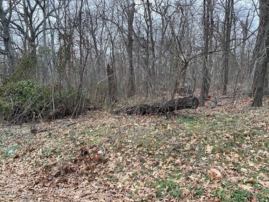 0 Billingsley Dr, Bella Vista, AR 72715 - photo 4