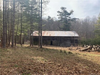 0 Doan Town Rd, Cane River, NC 28714 - photo 7