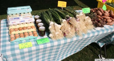 Fresh veggies, interesting crafts, & good ole fun fill the streets seasonally at the Providence Farmer's Market