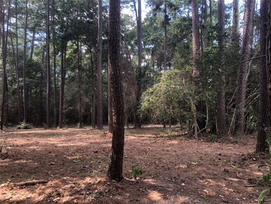 14 Pelican St, Magnolia, TX 77355 - photo 3