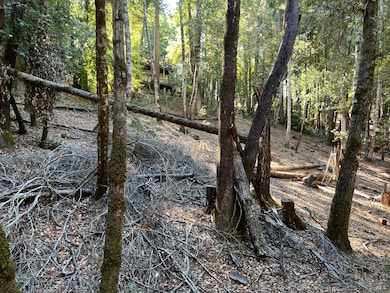 27208 Bear Cir, Brooktrails, CA 95490 - photo 3