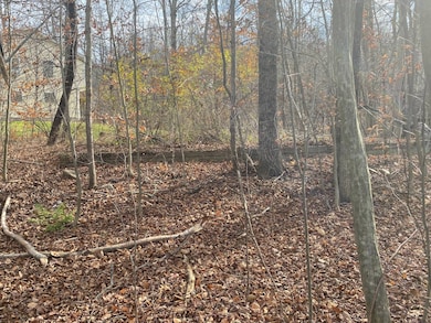 0 Lausanne Dr, Fallsburgh, NY 12789 - photo 3