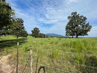 2992 River Rd, Chatsworth, GA 30705 - photo 5