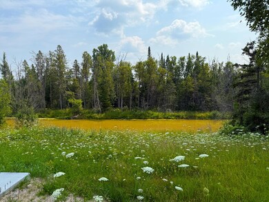 20257 S Libby Rd, Pickford, MI 49774 - photo 4