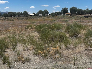 TBD S Chestnut St, Cortez, CO 81321 - photo 2