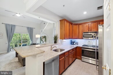 11314 Westbrook Mill Ln unit 303, Fairfax, VA 22030 - photo 4