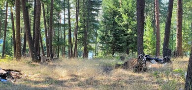 42717 N Sundance Rd, Elk, WA 99009 - photo 7