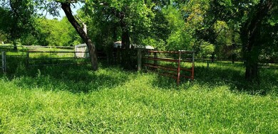 14355 Liberty School Rd, Azle, TX 76020 - photo 3