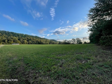 517 Paint Rock Valley Road