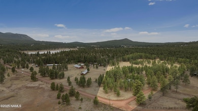 44-web-or-mls-DJI_20250918140541_0985_D