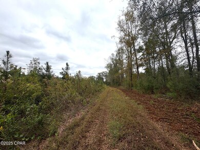 tbd N Golden Rd, Jacob City, FL 32431 - photo 4