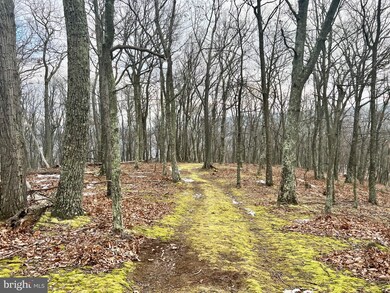 0 Laurel Dale Ridge Section unit WVGT2000170, Maysville, WV 26833 - photo 2