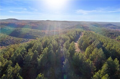 133 Evergreen Vista Loop, Broken Bow, OK 74728 - photo 2