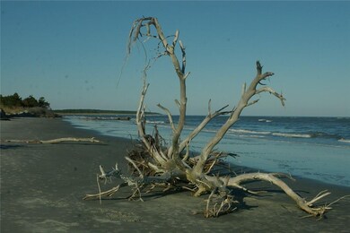 Sapelo Island Beach