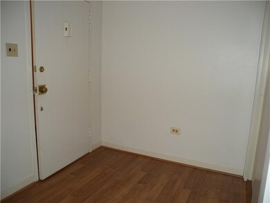 Entry/Foyer. Entryway into unit with wood flooring