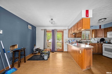 10 NE 1st Ave, Galva, IL 61434 - photo 6