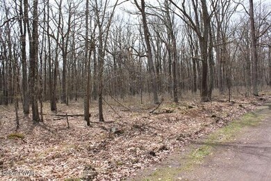 220 Mountain Top Rd, Lackawaxen, PA 18435 - photo 5