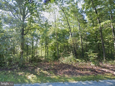 6067 Laurel Rd, Shipman, VA 22971 - photo 5