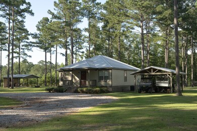 12404 Dozier Hwy, Brantley, AL 36009 - photo 5