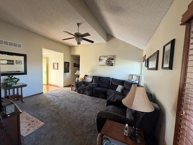 605 W 3rd Terrace, Wellsville, KS 66092 - photo 7