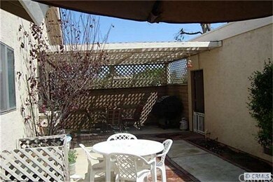 Back Patio