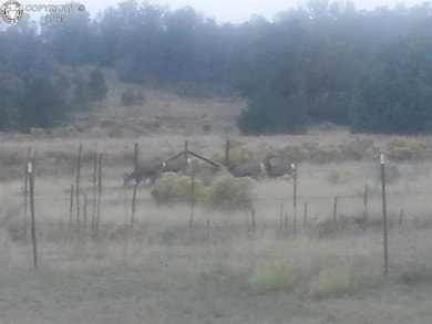 675 Black Gulch Rd, Cotopaxi, CO 81223 - photo 7