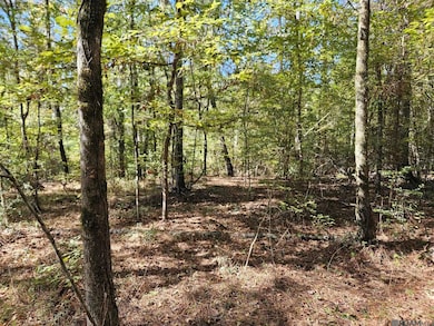 TBD Tunica Trace, Saint Francisville, LA 70775 - photo 5