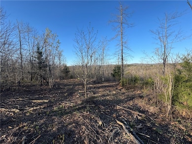 Tract 2 Nc 8374 Rd, Jasper, AR 72641 - photo 5