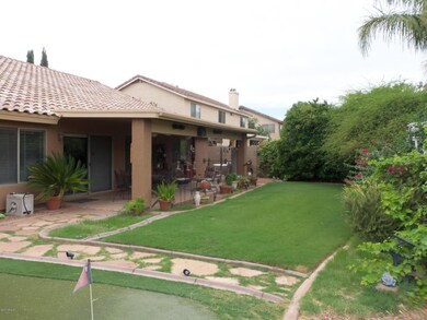 Backyard 2