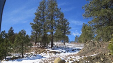 IMG_6064-1024x576