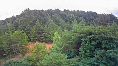 IMG_20240718_1152002