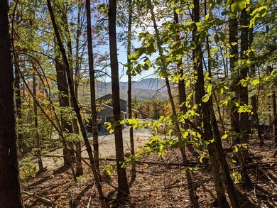 0 Fernald Hills Way unit 1532854, Stow, ME 04037 - photo 5