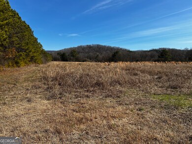 0 S Hwy 27 unit 10254661, La Fayette, GA 30753 - photo 2